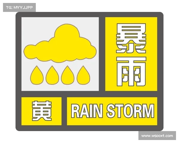 暴雨黄色预警生效!山东今夏首个暴雨来袭,防灾指南必看(暴雨黄色预警信号指在小时内本地将可能有暴雨发生) 暴雨黄色预警生效!山东今夏首个暴雨来袭,防灾指南必看(暴雨黄色预警信号指在小时内本地将可能有暴雨发生)