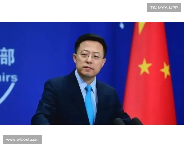 越南声明对西沙群岛和南沙群岛的主权要求:国际争议中的新动态 越南声明对西沙群岛和南沙群岛的主权要求:国际争议中的新动态